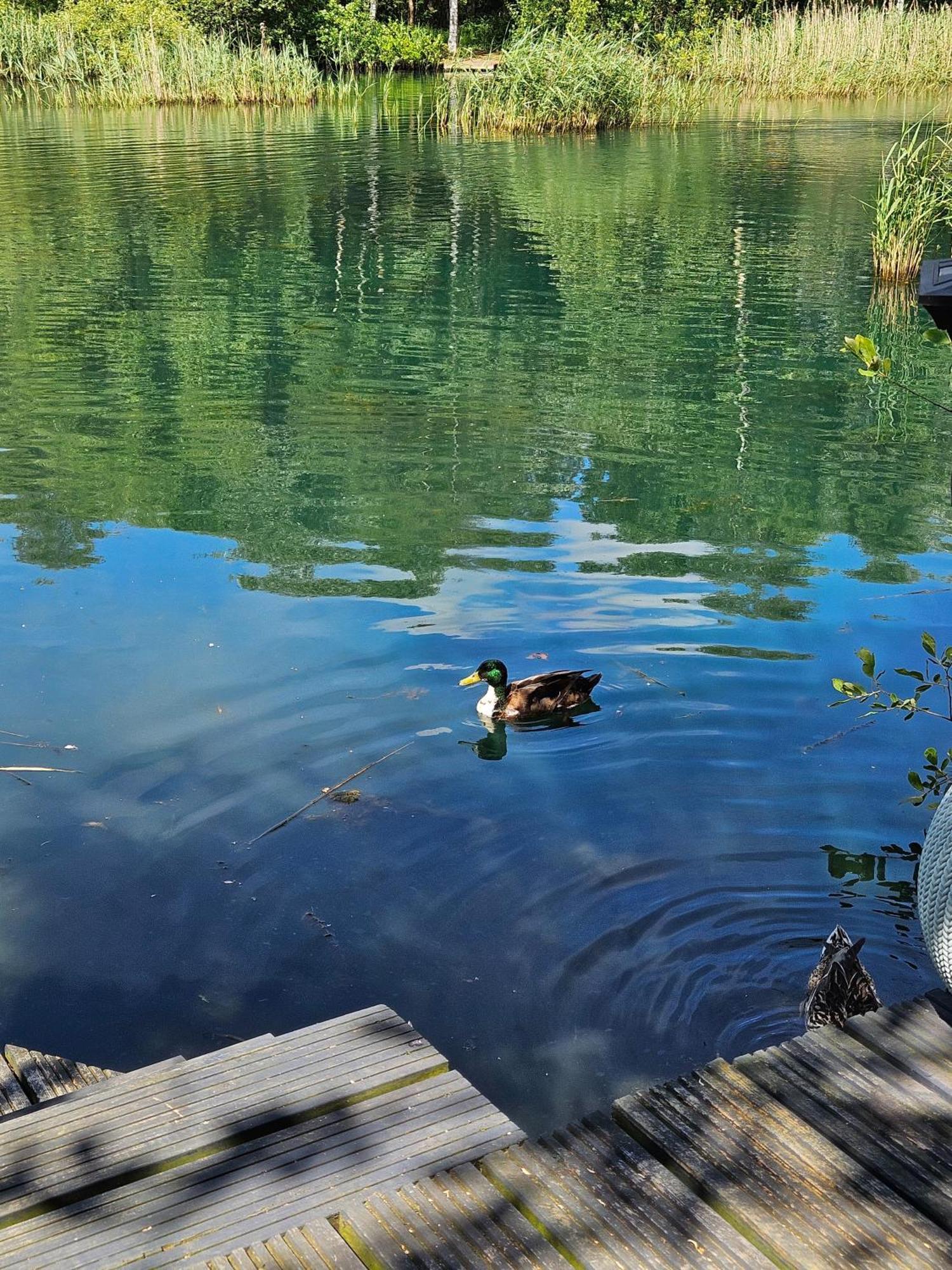 Luxury Lakeside Caravan With Hottub And Private Fishing Peg, Tattershall Lakes 外观 照片